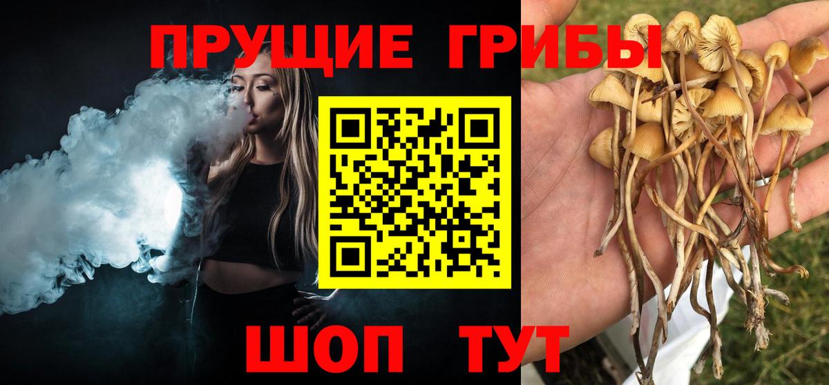 Галлюциногенные грибы Cubensis Кандалакша