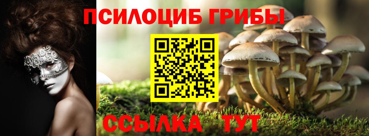 Кандалакша  Галлюциногенные грибы GOLDEN TEACHER  Галлюциногенные грибы Cubensis  Вход с VPN 